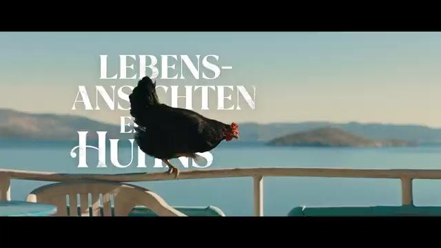 Lebensansichten eines Huhns - Trailer - Deutsch - SD