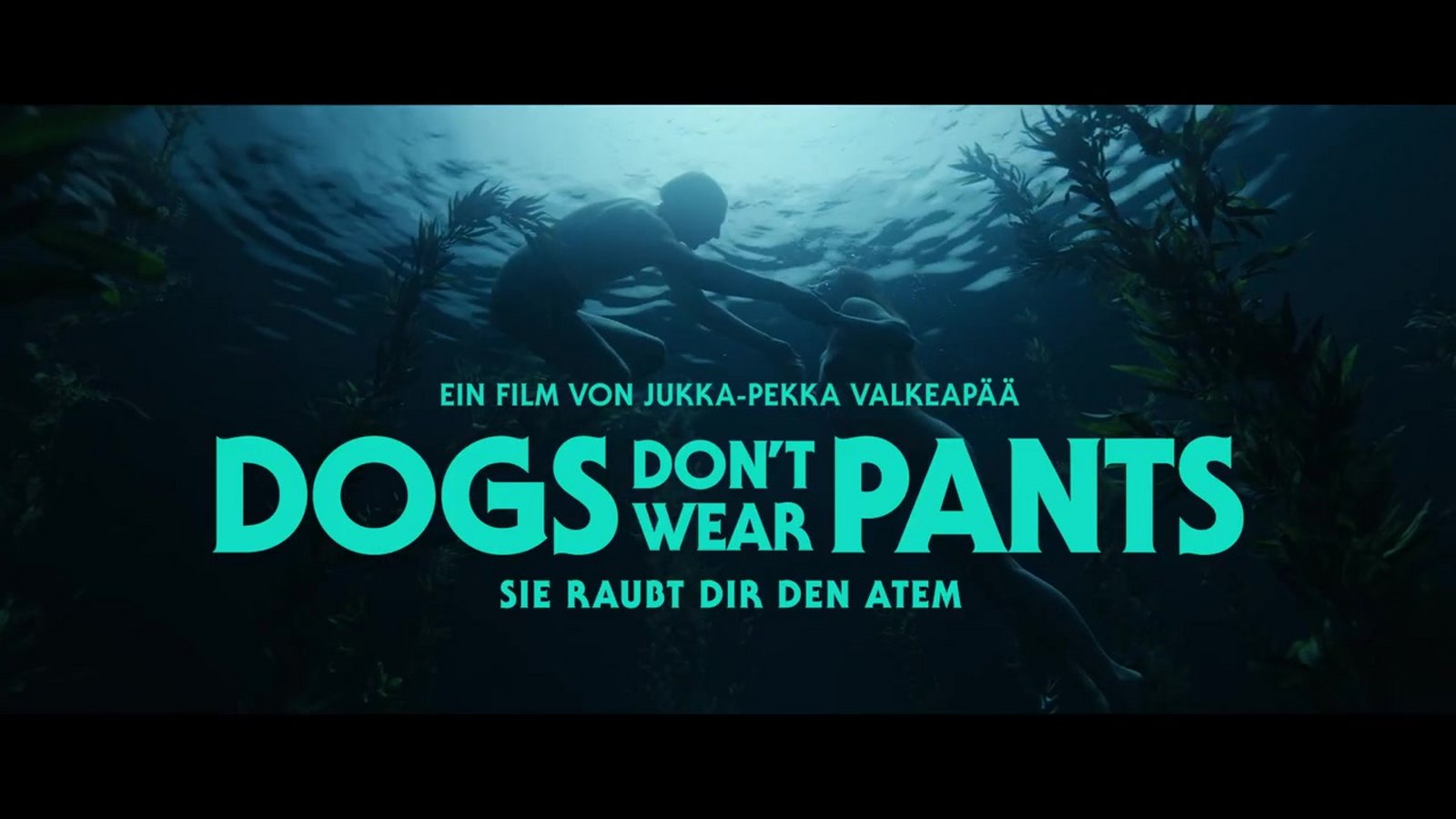 Amazon.de: Dogs Don't Wear Pants ansehen | Prime Video