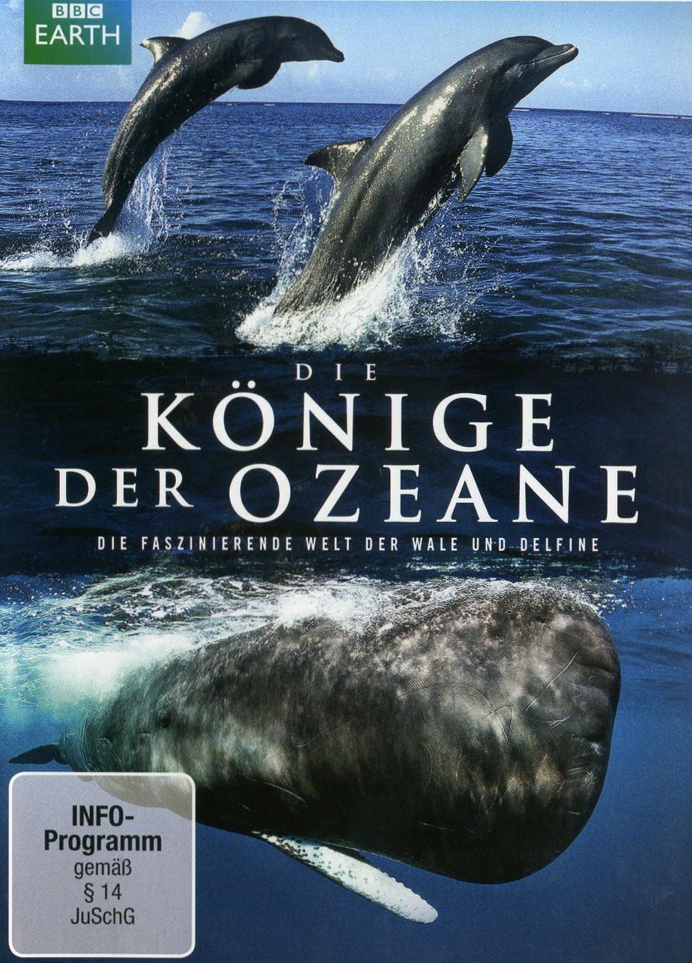 Der König und das Meer Der König und das Meer: 21 Kürzestgeschichten : Janisch