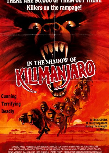 Im Schatten des Kilimandscharo - Poster 2