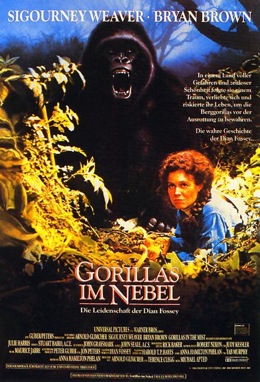 Gorillas Im Nebel Gorillas Im Nebel