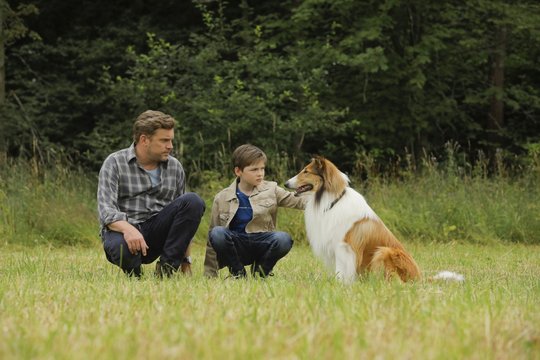 Lassie - Eine abenteuerliche Reise - Szenenbild 1