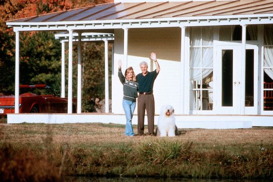 Housesitter - Lügen haben schöne Beine - Szenenbild 6