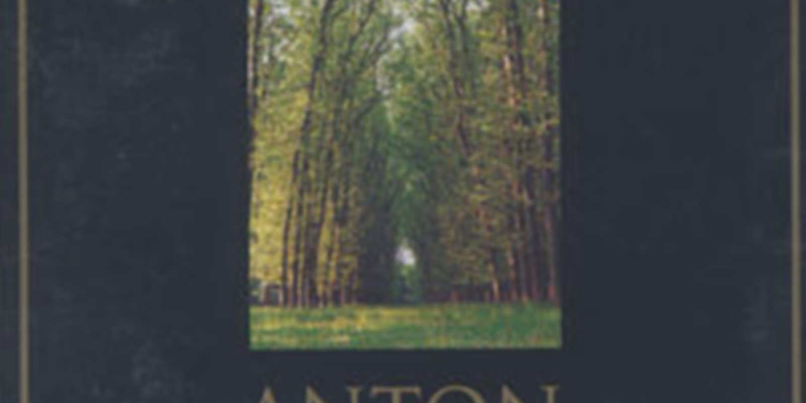 Anton Bruckner - The Magic of Light