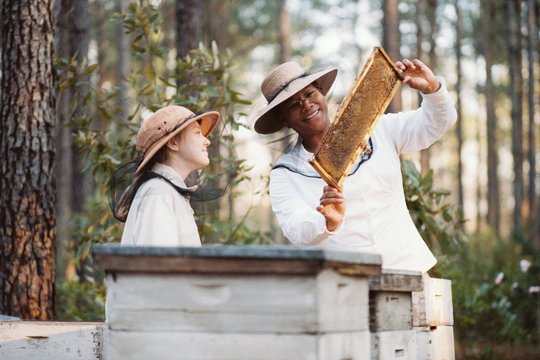 Die Bienenhüterin - Szenenbild 2