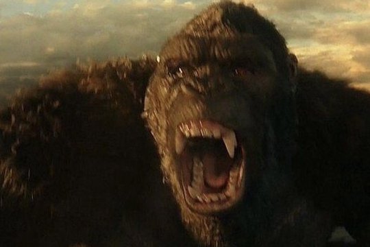 Godzilla vs. Kong - Szenenbild 4