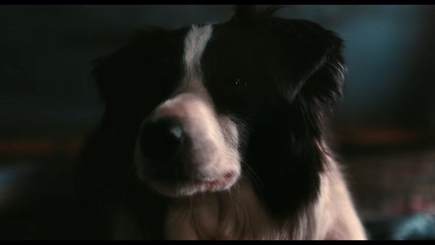 Together - Teaser - Englisch - SD