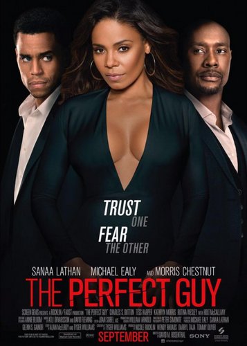 The Perfect Guy - Poster 3