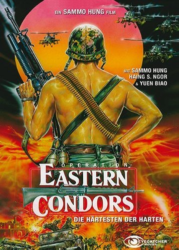 Operation Eastern Condors - Poster 1