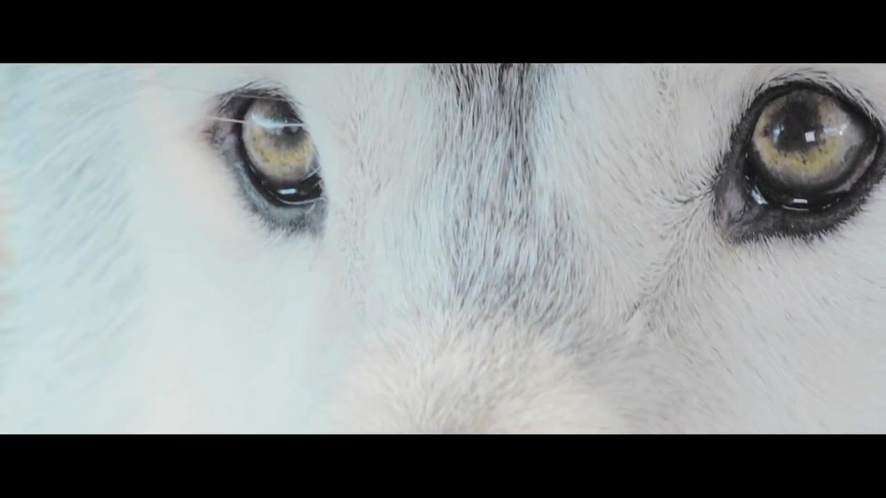 Shana - Trailer - Deutsch - HD