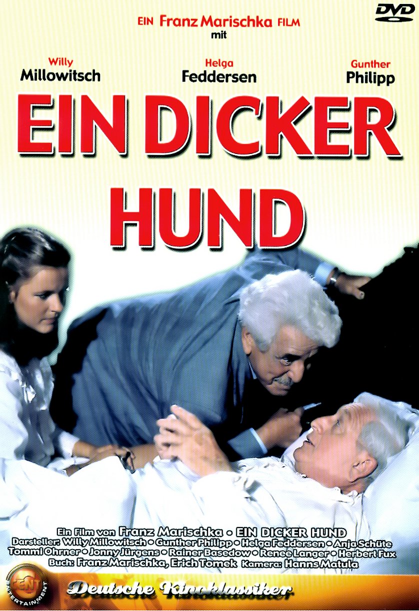 Ein dicker Hund DVD oder Bluray leihen VIDEOBUSTER.de