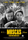 Moscas