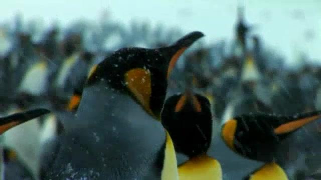 Mittendrin - Trailer - Deutsch - SD