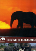 Safari - Indische Elefanten