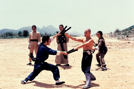 Die Rückkehr zu den 36 Kammern der Shaolin - Szenenbild 1
