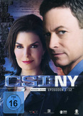 CSI: New York - Staffel 7