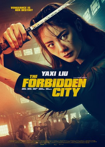 Kung Fu in Rome - Poster 6