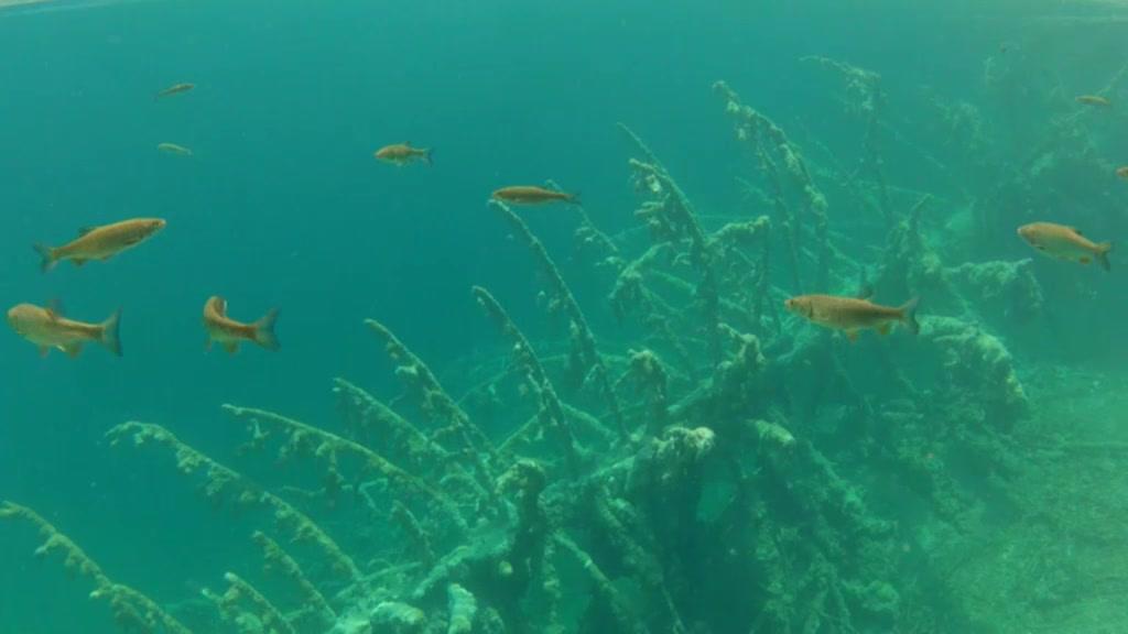Leben - Wasser - Trailer - Deutsch - SD