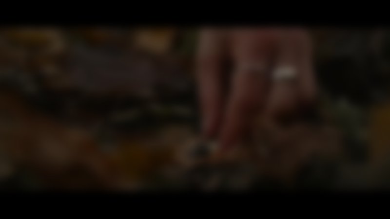 Hunting Grounds - Trailer - Deutsch - HD