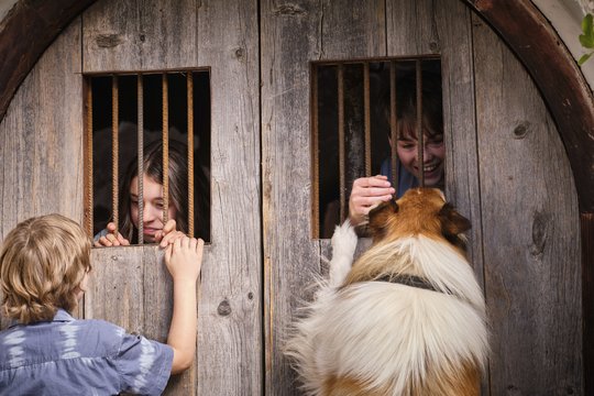 Lassie 2 - Ein neues Abenteuer - Szenenbild 47