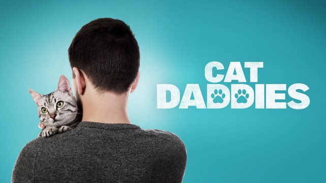 Cat Daddies - Wallpaper 1