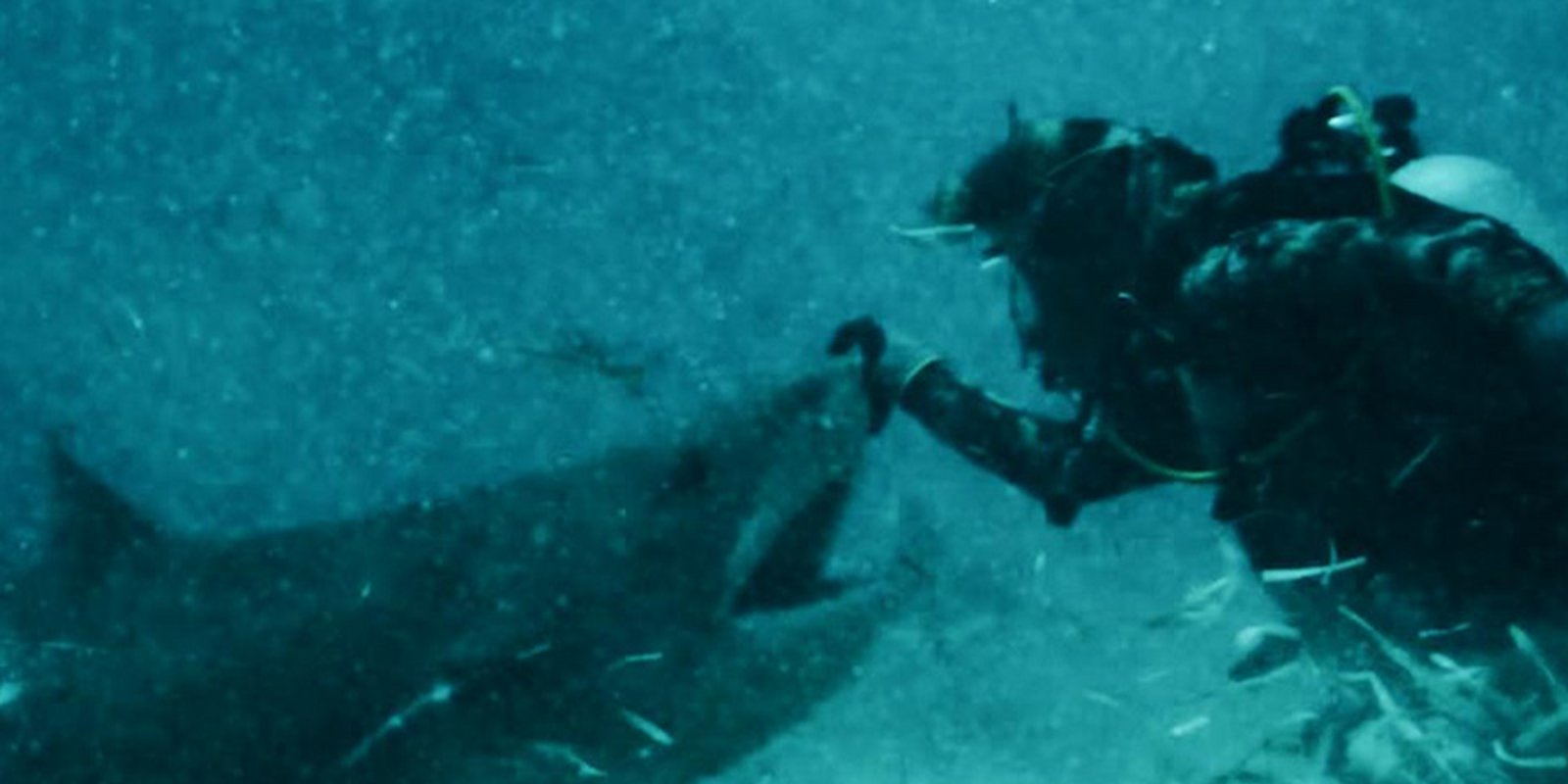 Ghost Divers