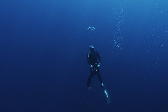 Under the Sea - Szenenbild 4