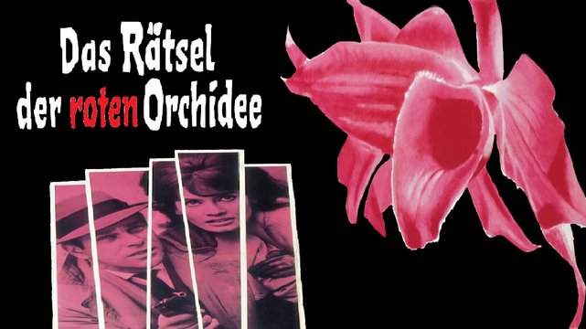 Das Rätsel der roten Orchidee - Wallpaper 1