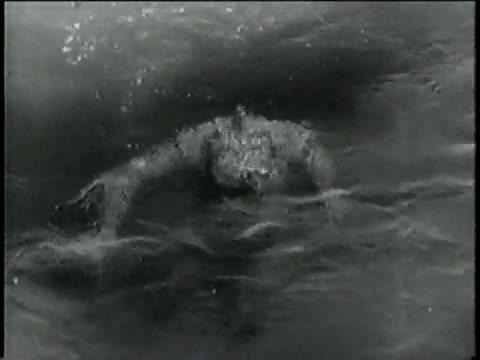 Die Rache des Ungeheuers - Trailer - Englisch - SD