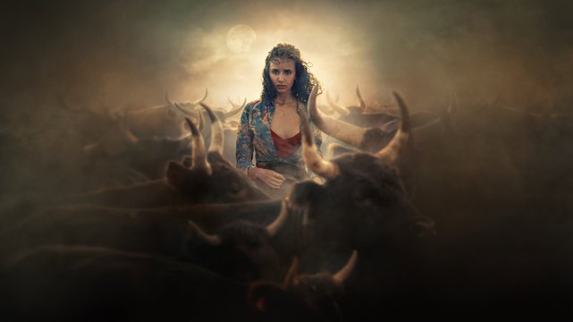 Animale - Wallpaper 1