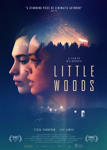 Little Woods - Poster 1
