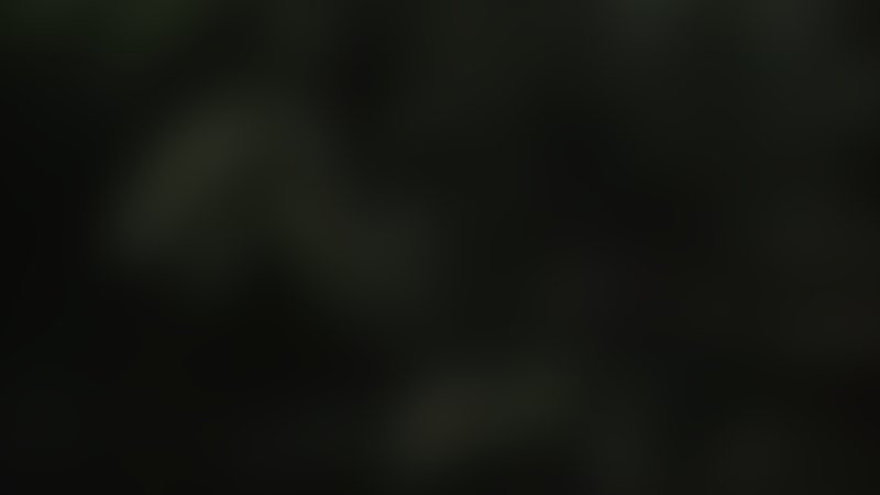 Inbred - Trailer - Englisch - SD