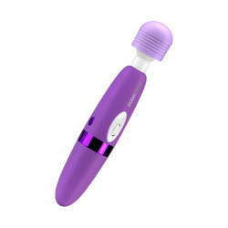 Rechargeable Massager, 27cm