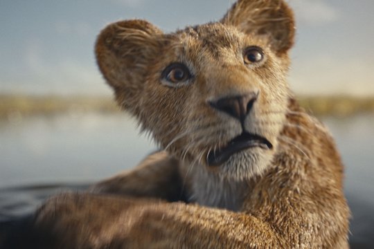 Mufasa - Der König der Löwen - Szenenbild 3
