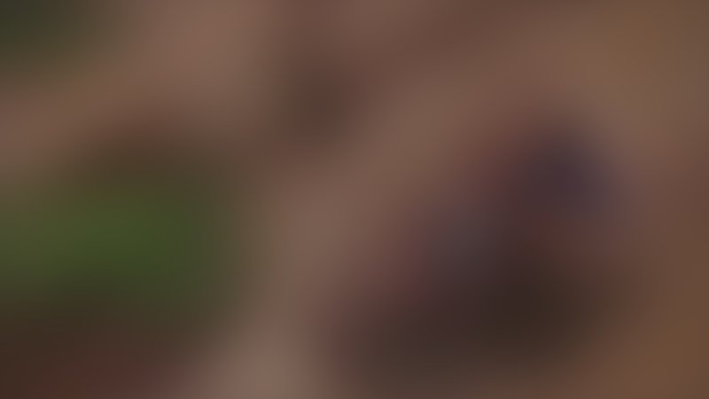 Into the Sun - Im Netz der Yakuza - Trailer - Englisch - SD