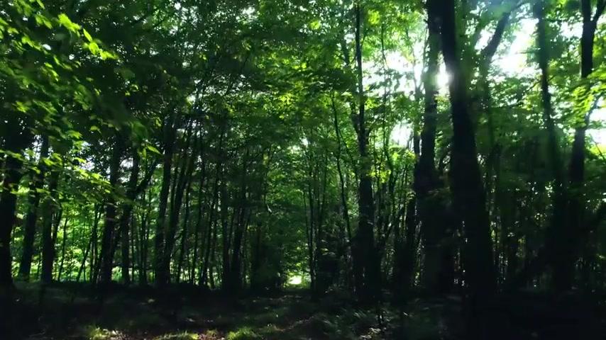 Dreamkatcher - Trailer - Deutsch - SD