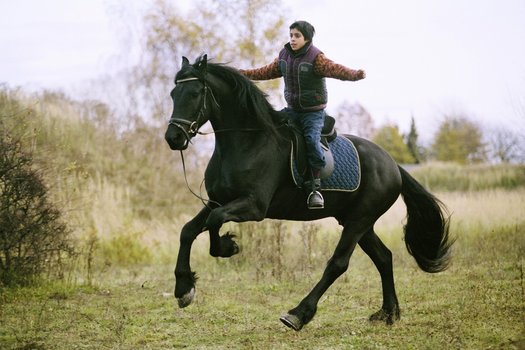 Zafir Der Schwarze Hengst Stream