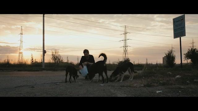 Cody - Trailer - Deutsch - SD