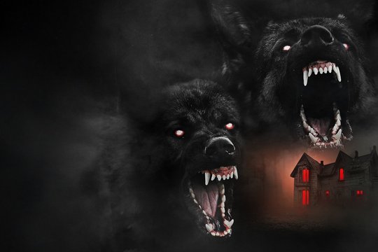 The Dogs - Szenenbild 2