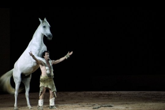 Ein Pferd namens Gazelle - Szenenbild 5