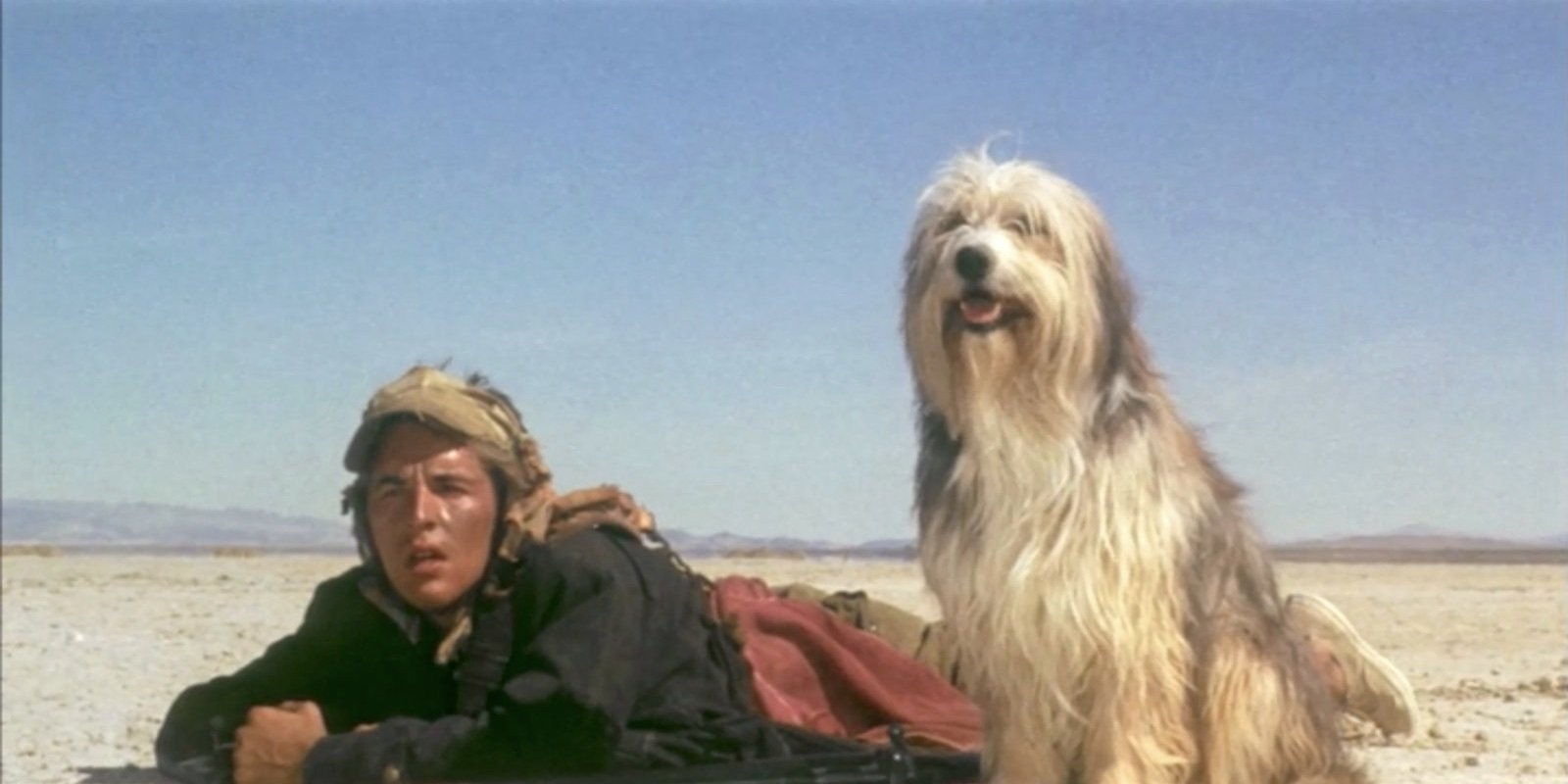 Der Junge und sein Hund - Apocalypse 2024