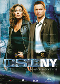 CSI: New York - Staffel 2