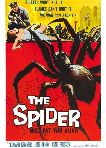 Die Rache der schwarzen Spinne - Poster 1