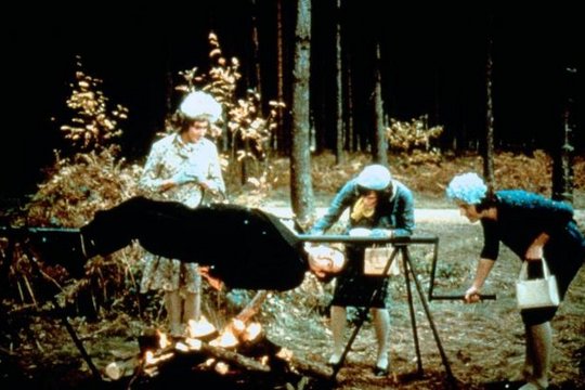 Monty Pythons wunderbare Welt der Schwerkraft - Szenenbild 4