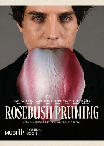 Rosebush Pruning - Poster 6