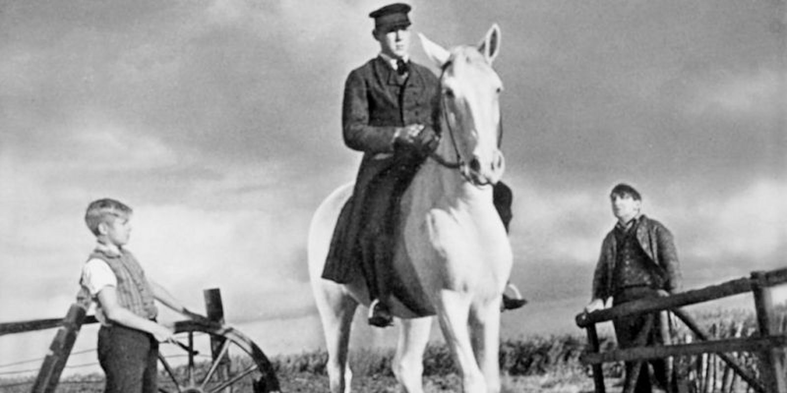 Der Schimmelreiter