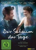 Der Schaum der Tage