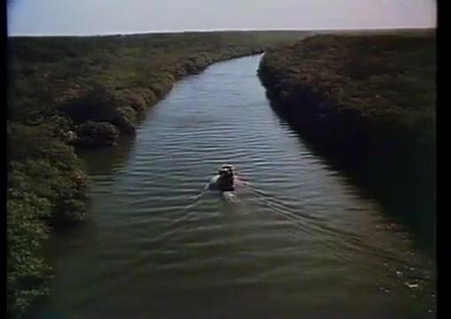 Mosquito Coast - Trailer - Englisch - SD