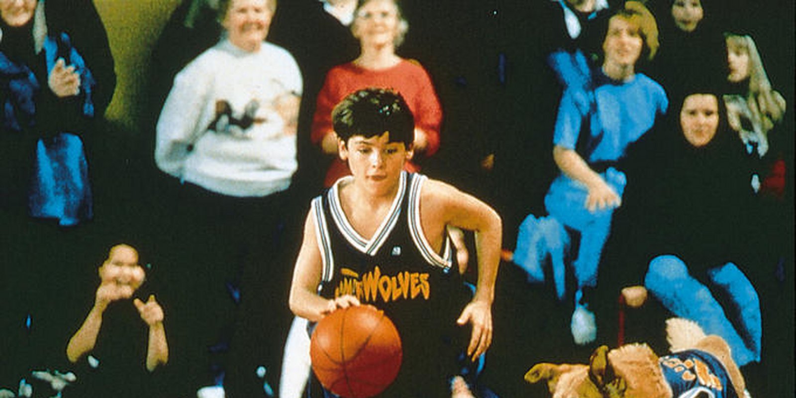 Air Bud - Champion auf vier Pfoten