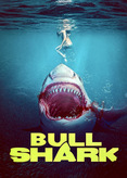 Bull Shark